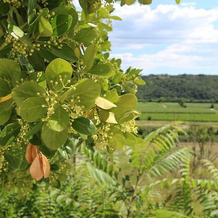 Vila Flora Сечовлє Екстер'єр фото