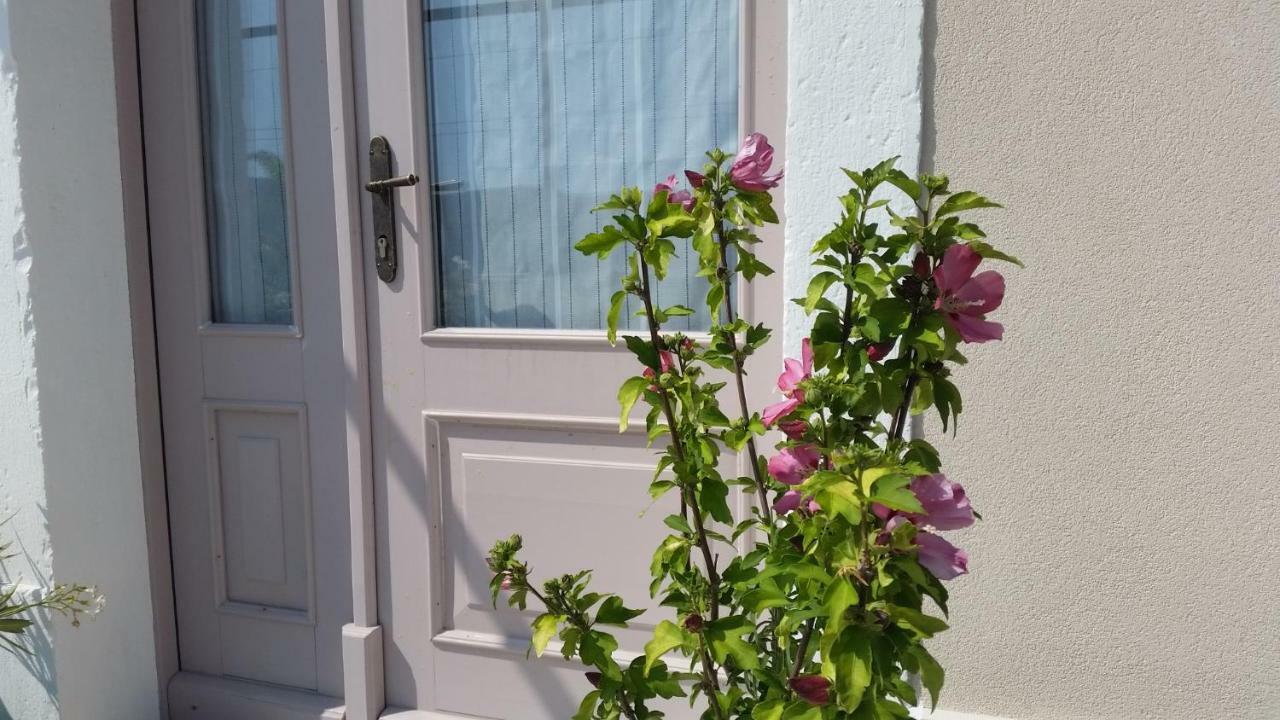 Vila Flora Сечовлє Екстер'єр фото