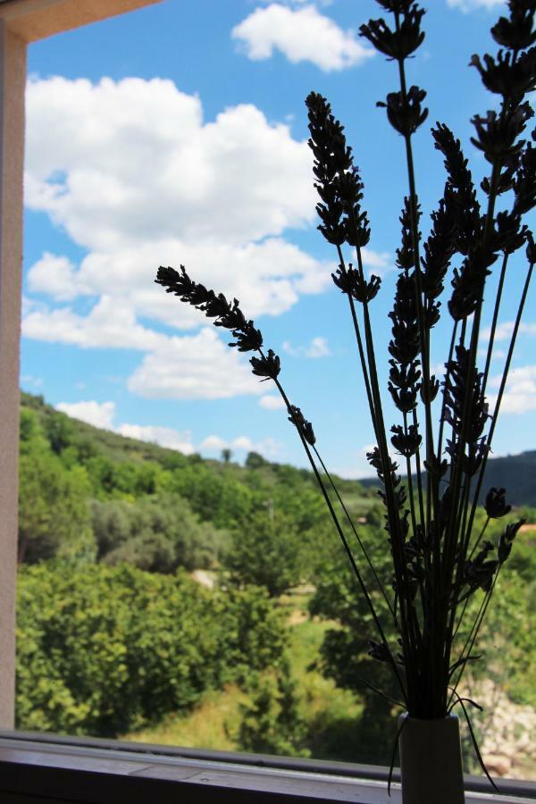 Vila Flora Сечовлє Екстер'єр фото